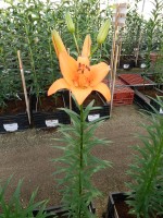 [5021 Tresor EVR No02.JPG]